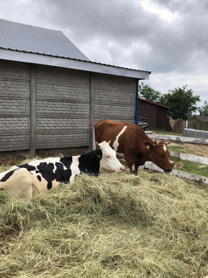 Wyjazdy terenowe studentów zootechniki - Motycz, Ludwinów - udane zakończenie semestru