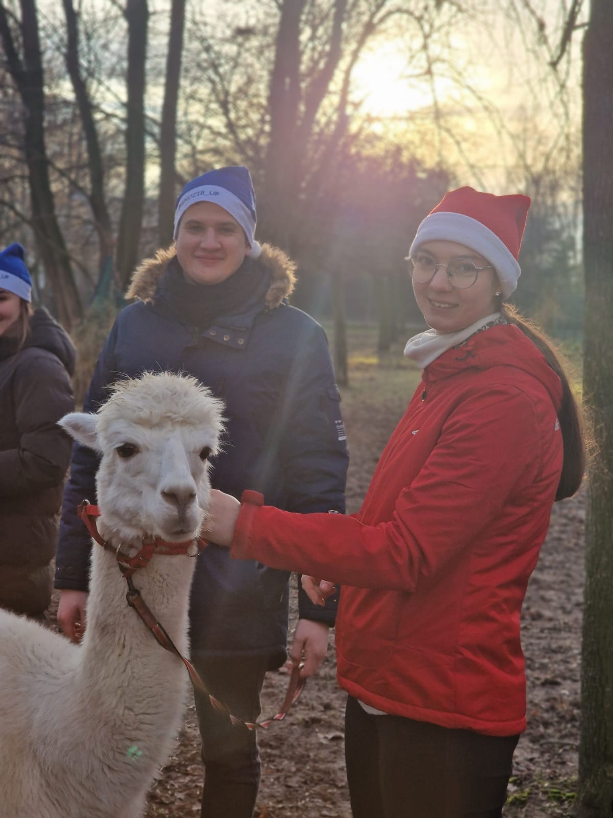 Mikołajki wśród zwierzaków