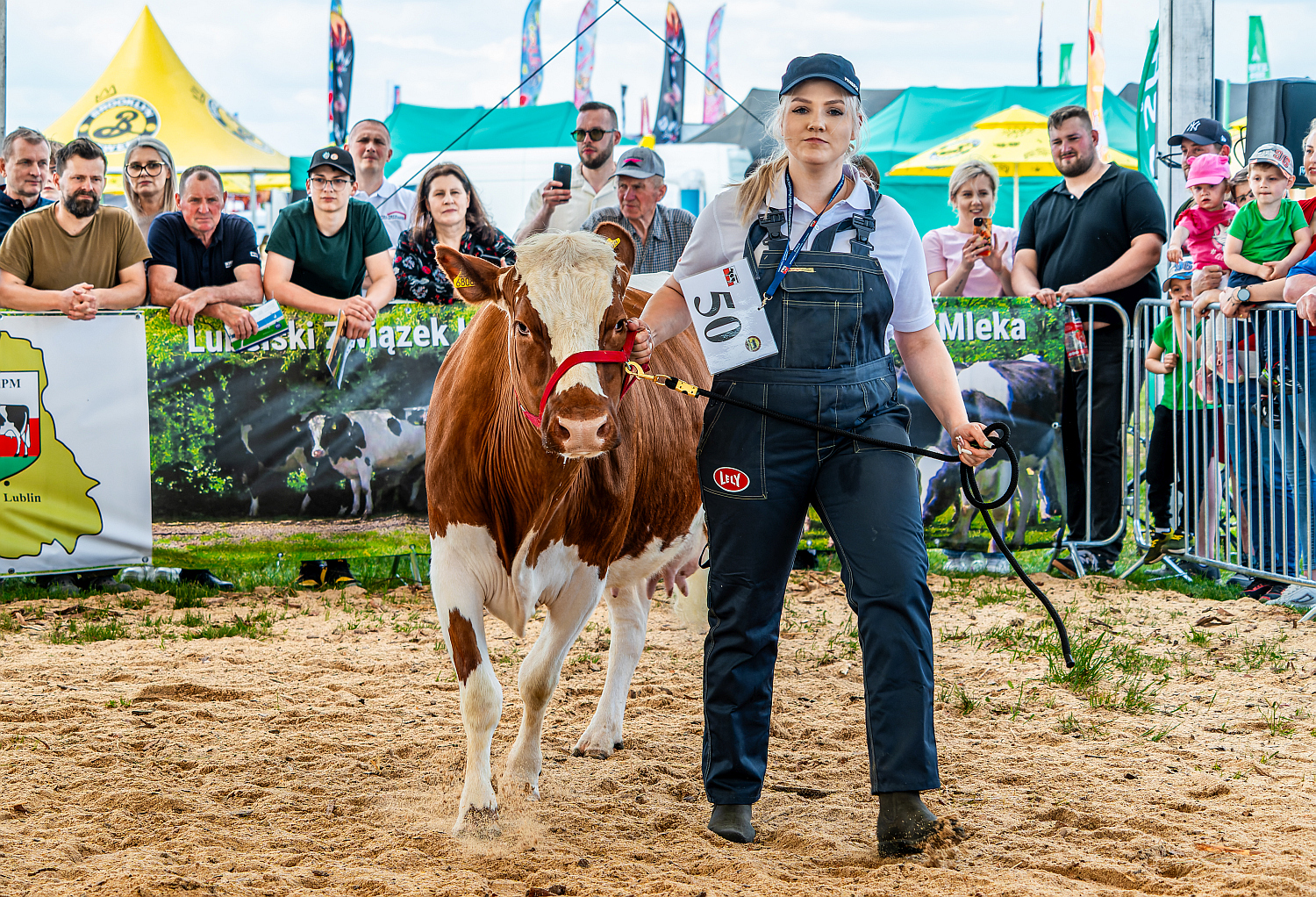 III Krajowa Wystawa Bydła Białogrzbietego w Ułężu już za nami! 🐄✨