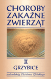 Zobacz więcej