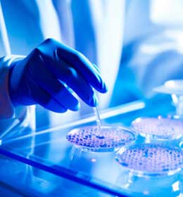 Promocja Wydziału Biologii Środowiskowej z EduBusem