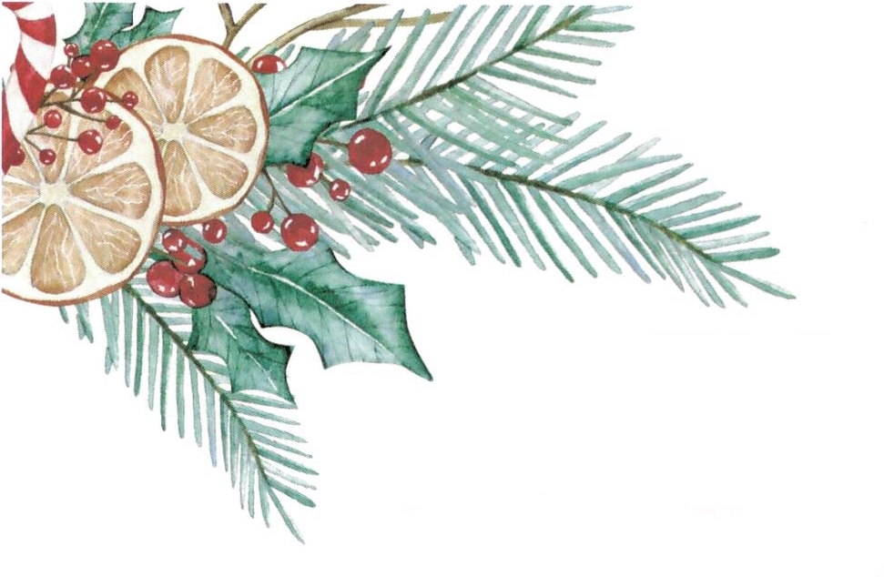 15 December - Rector's hours