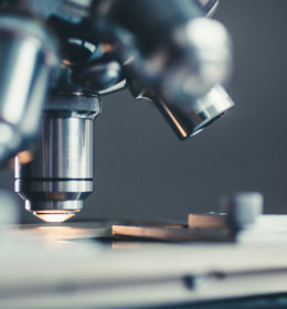 Laboratorium Biostymulatorów i Bioprotektantów – innowacyjne badania na UPL.