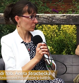 Dr hab. Aneta Strachecka, prof. uczelni o ochronie siedliska rzadkich pszczół na terenie strzelnicy w Łukowie