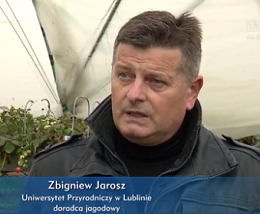 Dr hab. Zbigniew Jarosz o bezglebowej uprawie truskawek dla 'Agrobiznesu'
