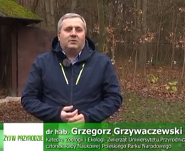 Dr hab. Grzegorz Grzywaczewski, prof. uczelni o zimujących bocianach