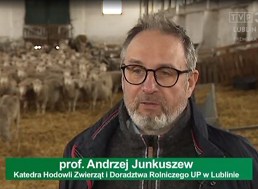 Prof. dr hab. Andrzej Junkuszew opowiada o hodowli owiec rasy uhruskiej