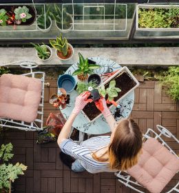 Jak zostać miejskim ogrodnikiem? Nowy kurs dokształcający