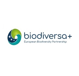 Biodiversa+: zapowiedź nowego konkursu na projekty dotyczące rozwiązań opartych na przyrodzie!