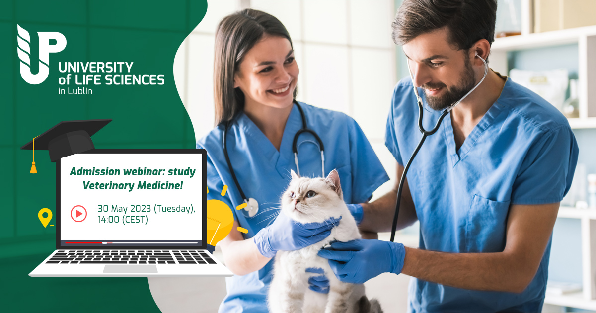 A woman and man veterinarians in blue uniforms and blue gloves are examining a white cat with a stethoscope. On the left side, over a green background there's a white logo of University of Life Sciences in Lublin. Below an illustration of a laptop with a graduation cap over it. On the desktop a slogan: “Admission webinar: study Veterinary Medicine! 30 May 2023 (Tuesday), 14:00 (CEST)