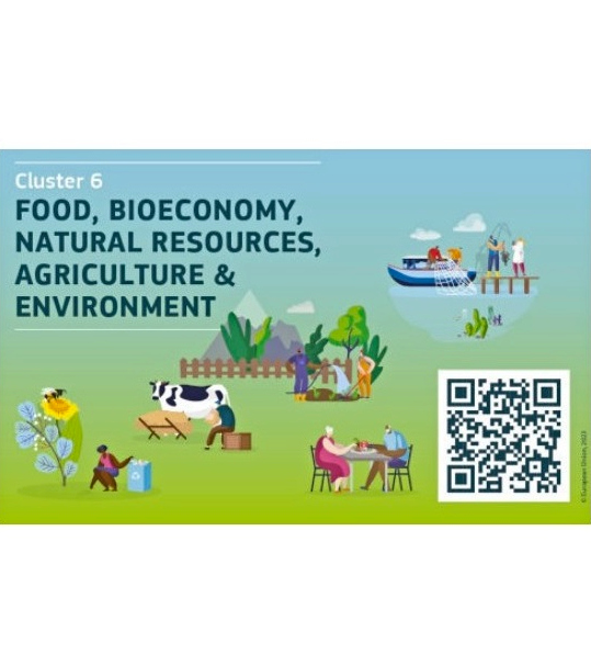 Dni Informacyjne  Klastra 6 Horyzontu Europa (Żywność, biogospodarka, zasoby naturalne, rolnictwo i środowisko)