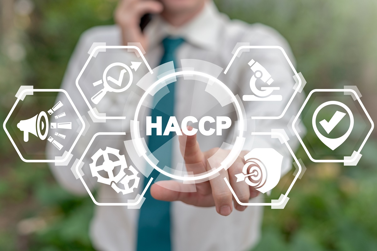grafika z ikonami HACCAP
