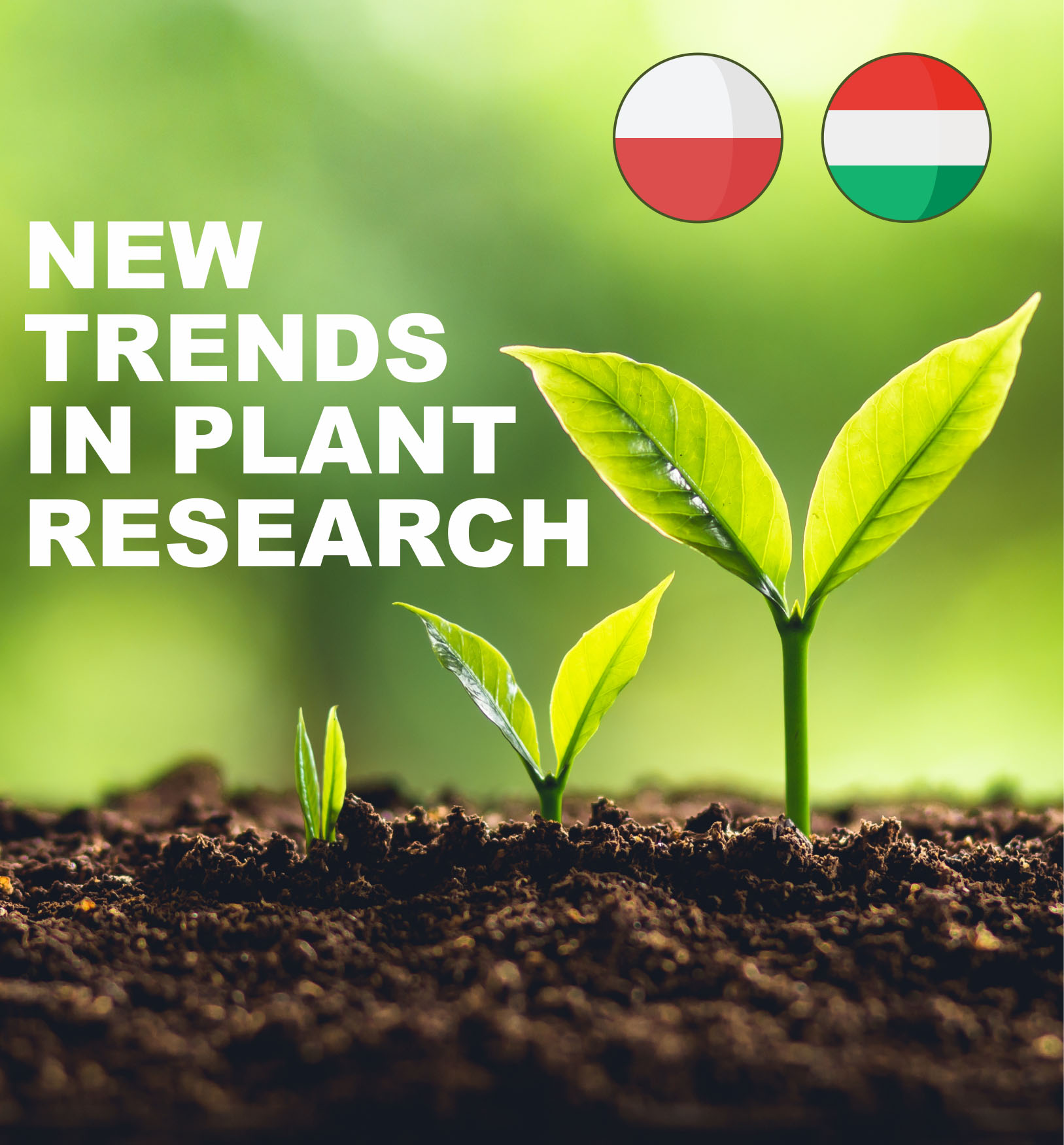 Polsko-węgierskie warsztaty „New trends in plant research”