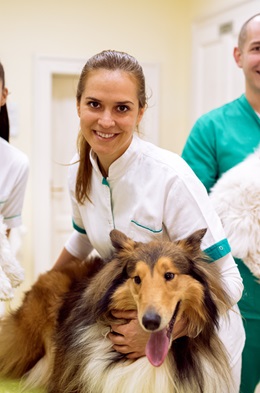 Zaproszenie na praktyki w Veterinary Hospital of the Catholic University of Valencia dla studentów Weterynarii w ramach programu Erasmus+