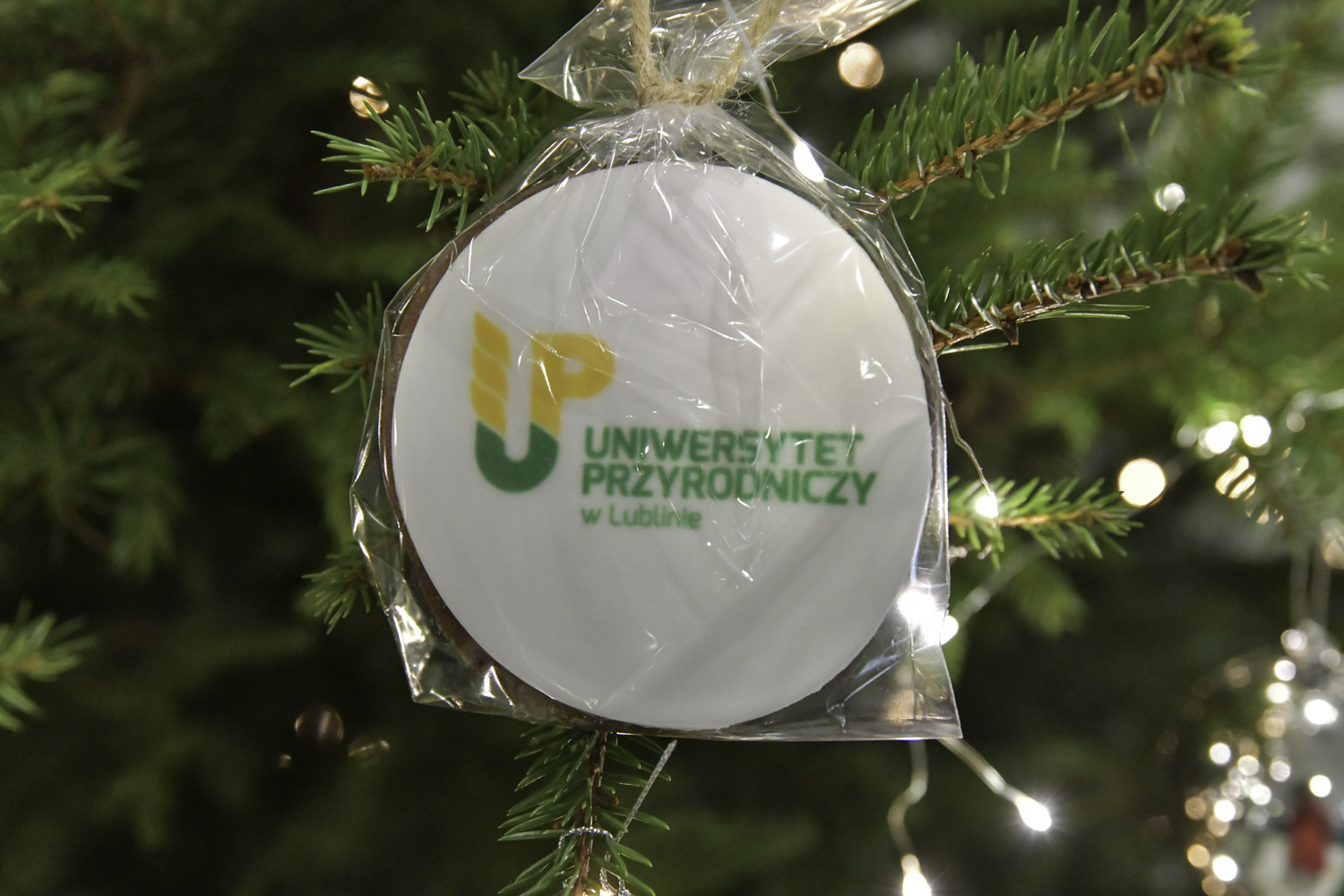 a christmas tree cookie ornament with the logo of the university