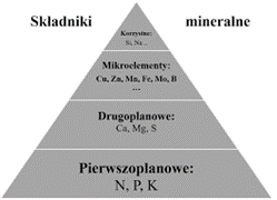 wykres na schemacie piramidy