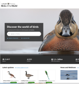 Testowy dostęp do bazy naukowej Birds of the World  (19.02.2024 r. – 04.03.2024 r.)