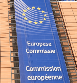 Program staży Komisji europejskiej oraz program dla młodszych profesjonalistów (JPP)