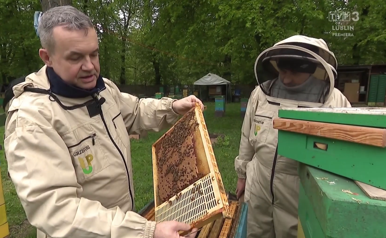 prof. dr hab. Grzegorz Borsuk w stroju pszczelarza, trzyma plaster miodu, obok stoi pszczelarz, w tle drzewa i ule