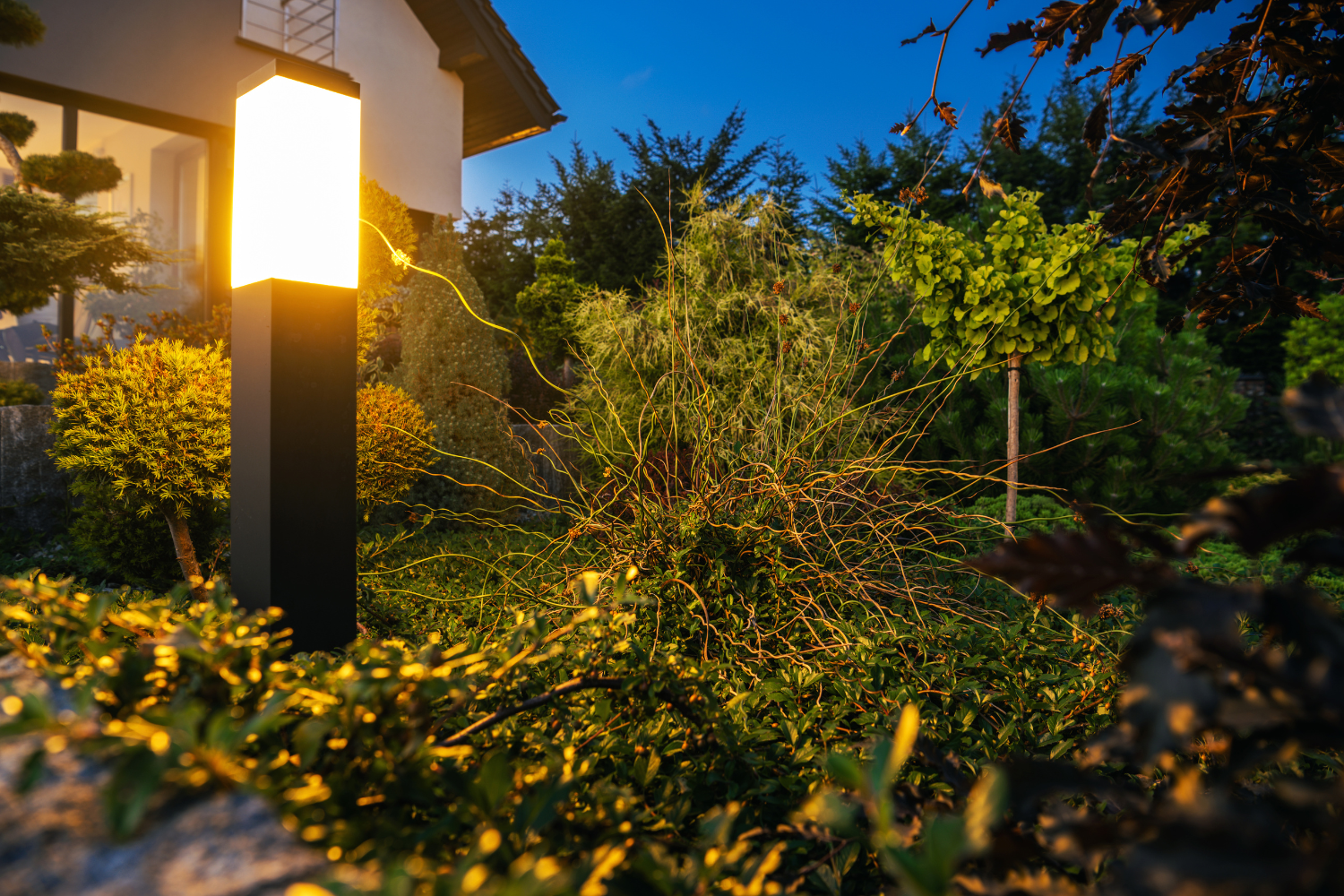 zielopny ogród nocą, oświetlony przez pojedynczą stojącą lampę w kształcie prostokąta