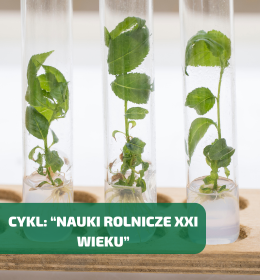 Roślinne kultury in vitro – ważne narzędzie w nowoczesnej hodowli roślin. Cykl: 'Nauki Rolnicze XXI wieku'.