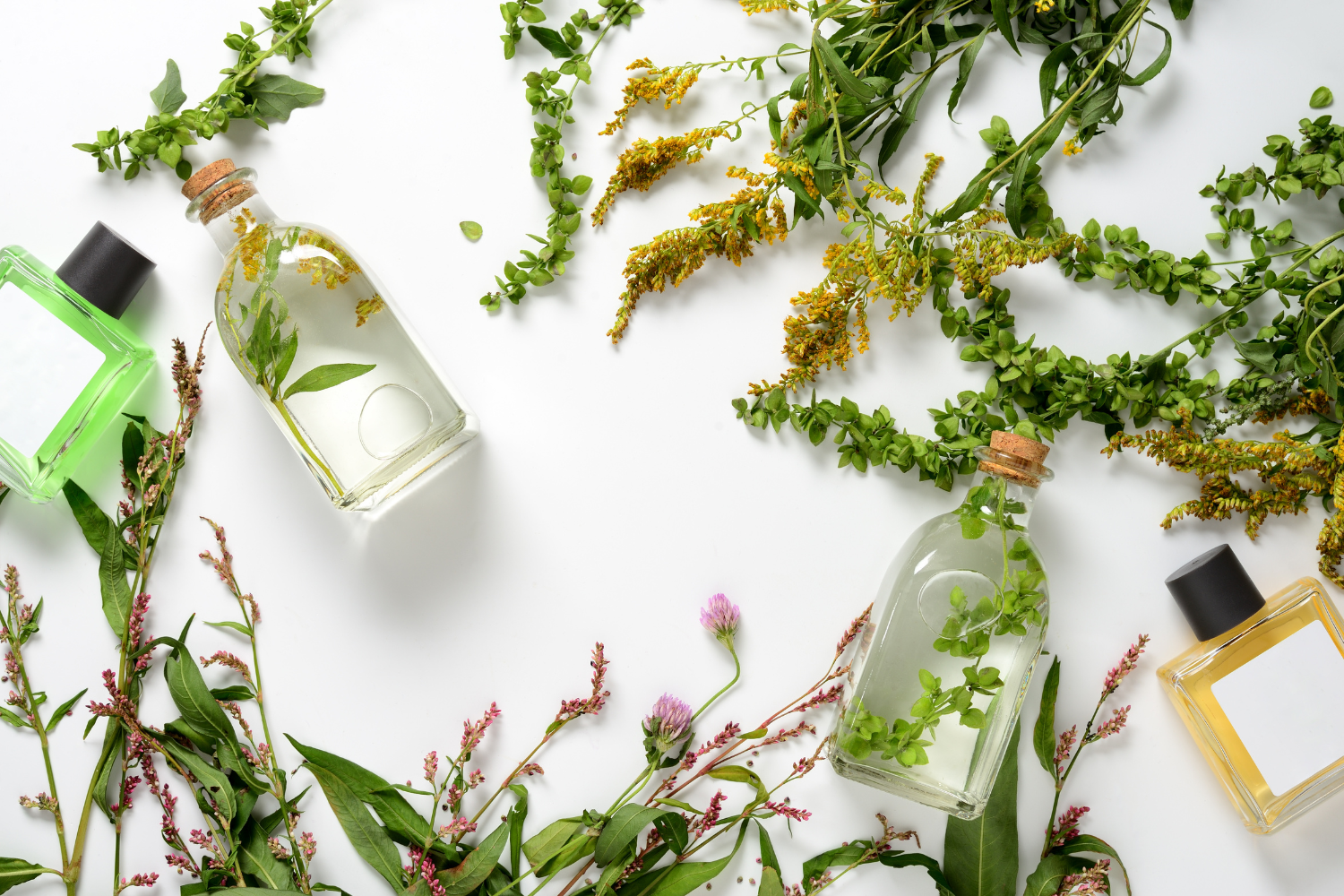 buteleczki perfum wśród roślin ułożone na białym tle