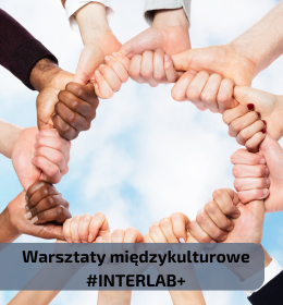 Warsztaty z zakresu międzykulturowości #INTERLAB+ dla pracowników Uniwersytetu Przyrodniczego w Lublinie