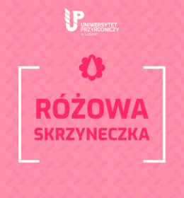 Równe traktowanie na UP w Lublinie – Akcja „Różowa Skrzyneczka”