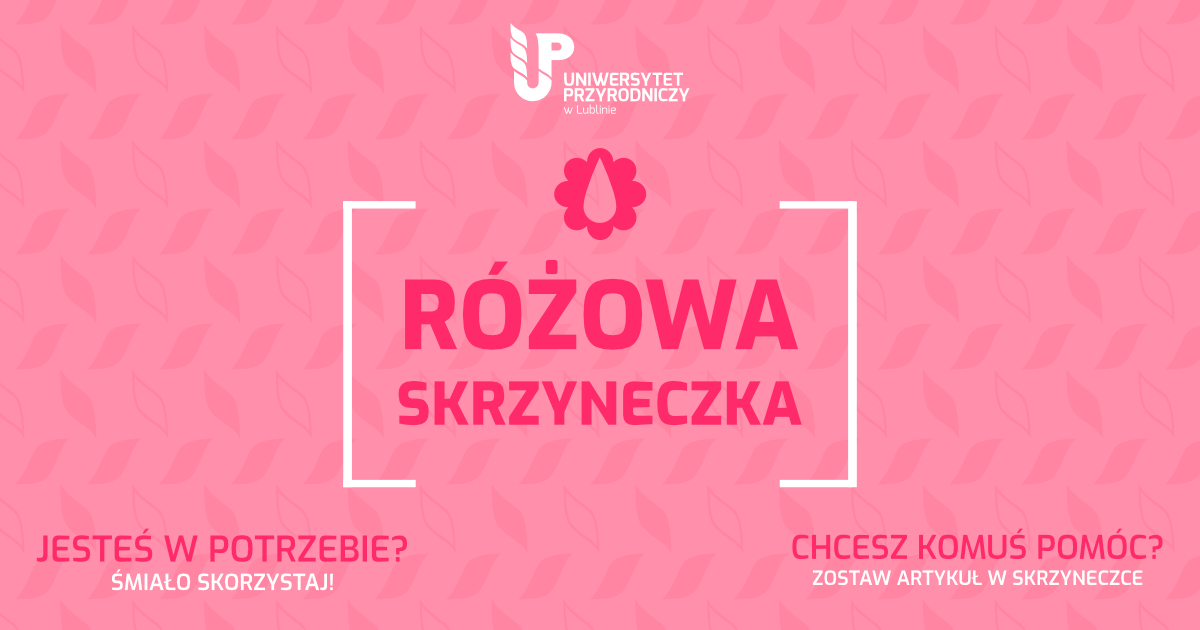 różowa skrzyneczka - baner