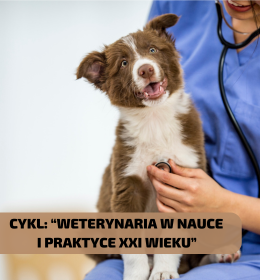 Wykorzystanie cytometrii przepływowej w badaniu limfocytów T i B u psów z nowotworami gruczołu sutkowego. Cykl: 'Weterynaria w Nauce i Praktyce XXI Wieku'