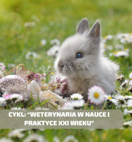 Żywienie królików. Cykl: 'Weterynaria w Nauce i Praktyce XXI Wieku'