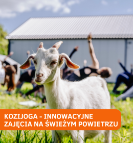 „Omm my goat” - KozioJoga! Innowacyjne zajęcia na świeżym powietrzu