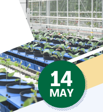 Polish-Hungarian Workshop in ULSL – 14 May 2025