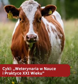 Zatrucie jadem kiełbasianym u bydła - cykl: „Weterynaria w Nauce i Praktyce XXI Wieku” cz. 1