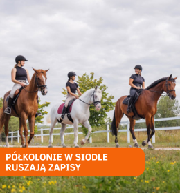 Półkolonie w siodle - sezon letni 2025