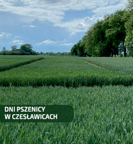 Dni Pszenicy w Gospodarstwie Doświadczalnym Czesławice