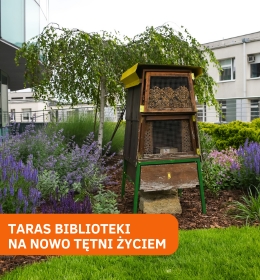 Taras Biblioteki – zielone serce kampusu na nowo tętni życiem
