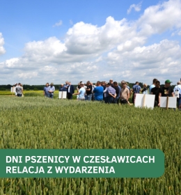 „Dni Pszenicy” - nauka i praktyka na rzecz zrównoważonego rolnictwa