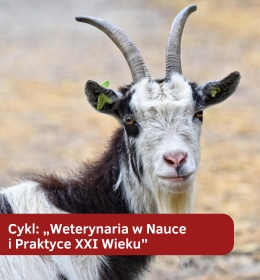 Koksyby w terapii przeciwzapalnej małych przeżuwaczy - cykl: „Weterynaria w Nauce i Praktyce XXI Wieku”