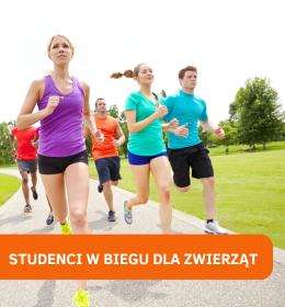 Studenci Wydziału Medycyny Weterynaryjnej w biegu „Pełna miska dla schroniska”