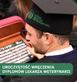 Wręczenie dyplomów lekarza weterynarii