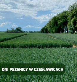 Dni Pszenicy w Gospodarstwie Doświadczalnym Czesławice