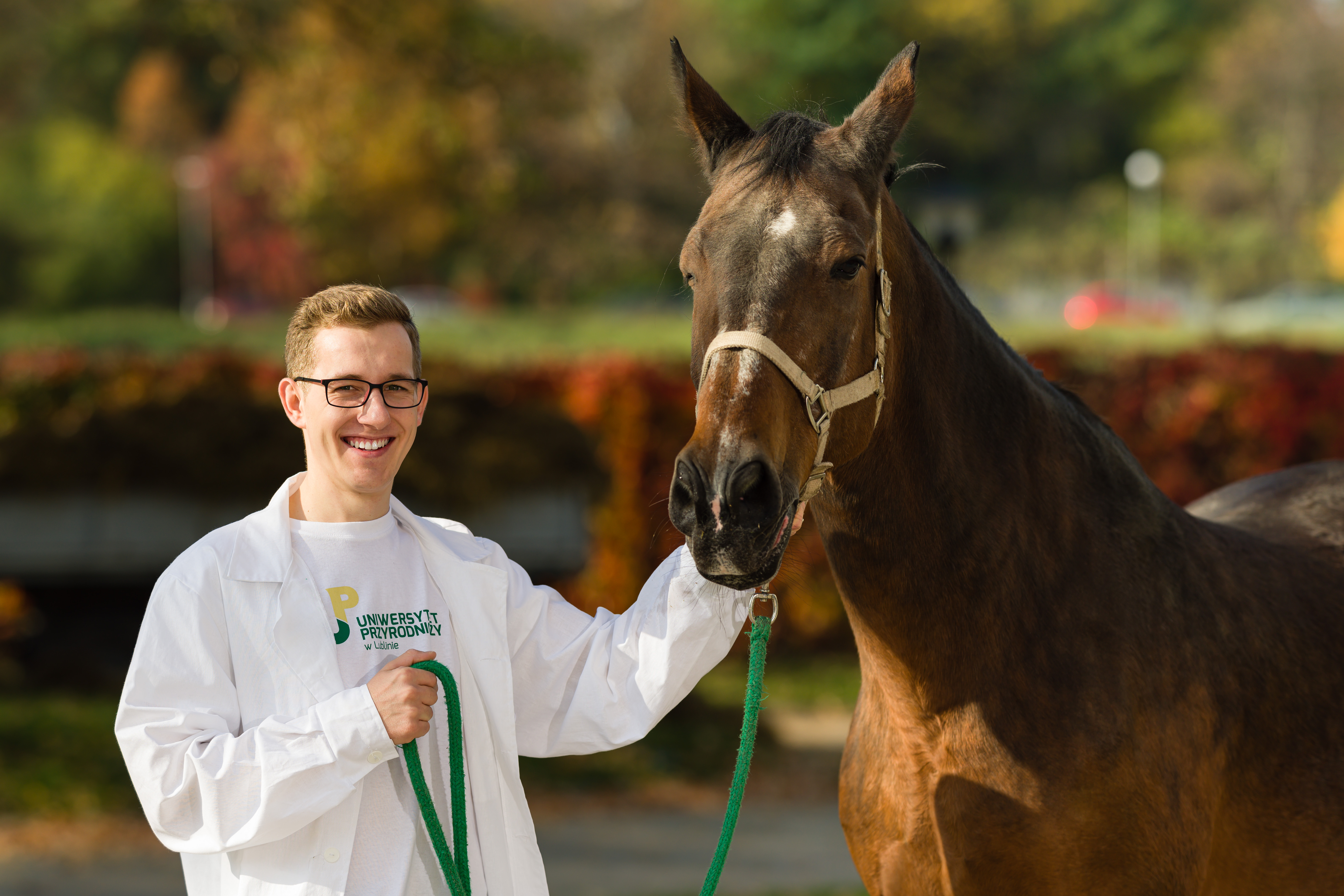Become a Doctor of Veterinary Medicine