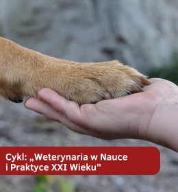 Rak płaskonabłonkowy (SCC) palca u psów diagnostyka i terapia - cykl: „Weterynaria w Nauce i Praktyce XXI Wieku”