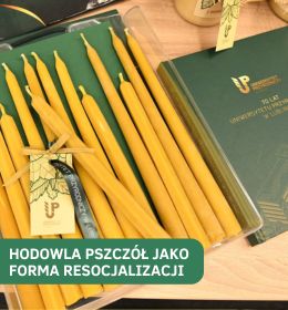 Pszczoły łączą światy - nauka i resocjalizacja przy jednej pasiece