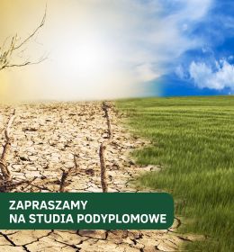 Adaptacje do zmian klimatu – inwestuj w przyszłość swoją i planety