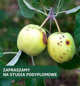 Szkody w gospodarstwach rolnych i ich szacowanie – klucz do bezpieczeństwa rolnika i jego plonów