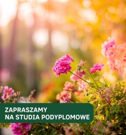 Hortiterapia – uzdrawiająca siła ogrodów