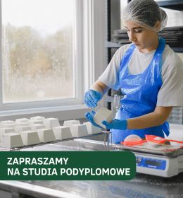 Ekstruzja w przetwórstwie rolno-spożywczym – formuj swoją przyszłość