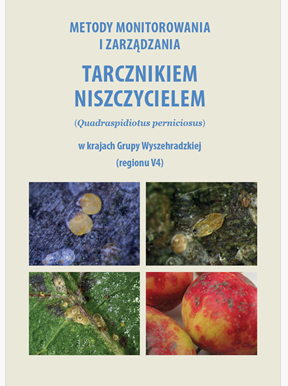 GRAFIKA